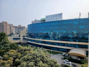 Artemis Hospital